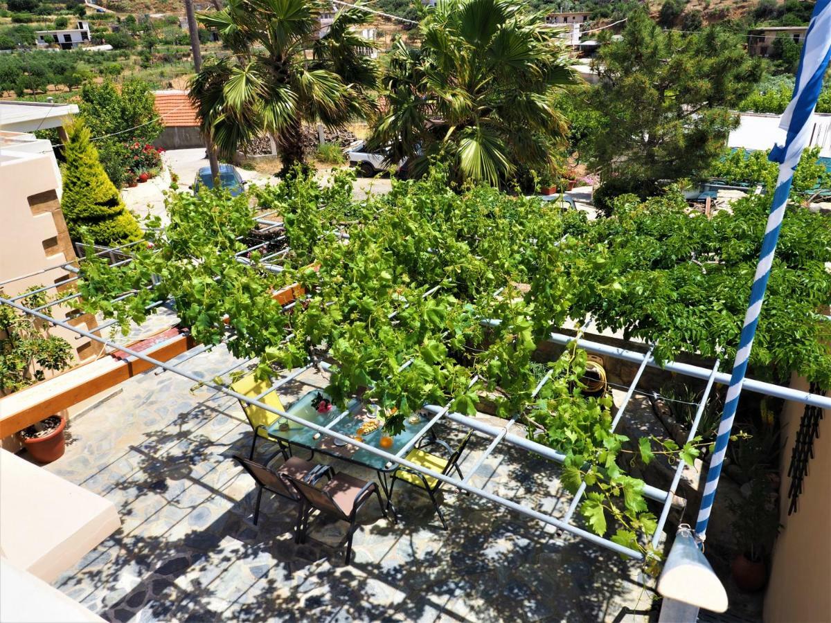 Traditional Cretan Villa Rodhopos Bagian luar foto