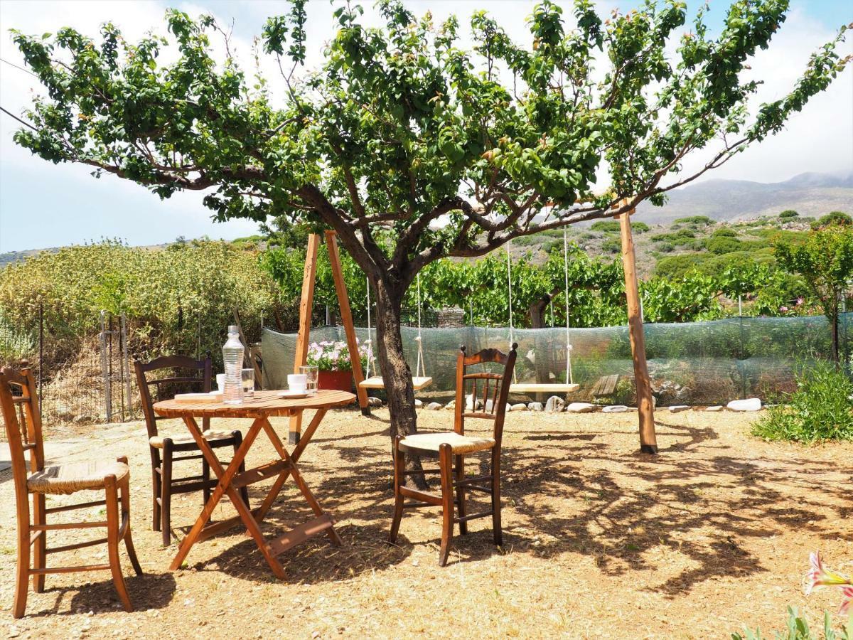 Traditional Cretan Villa Rodhopos Bagian luar foto