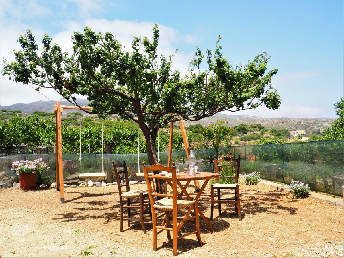 Traditional Cretan Villa Rodhopos Bagian luar foto